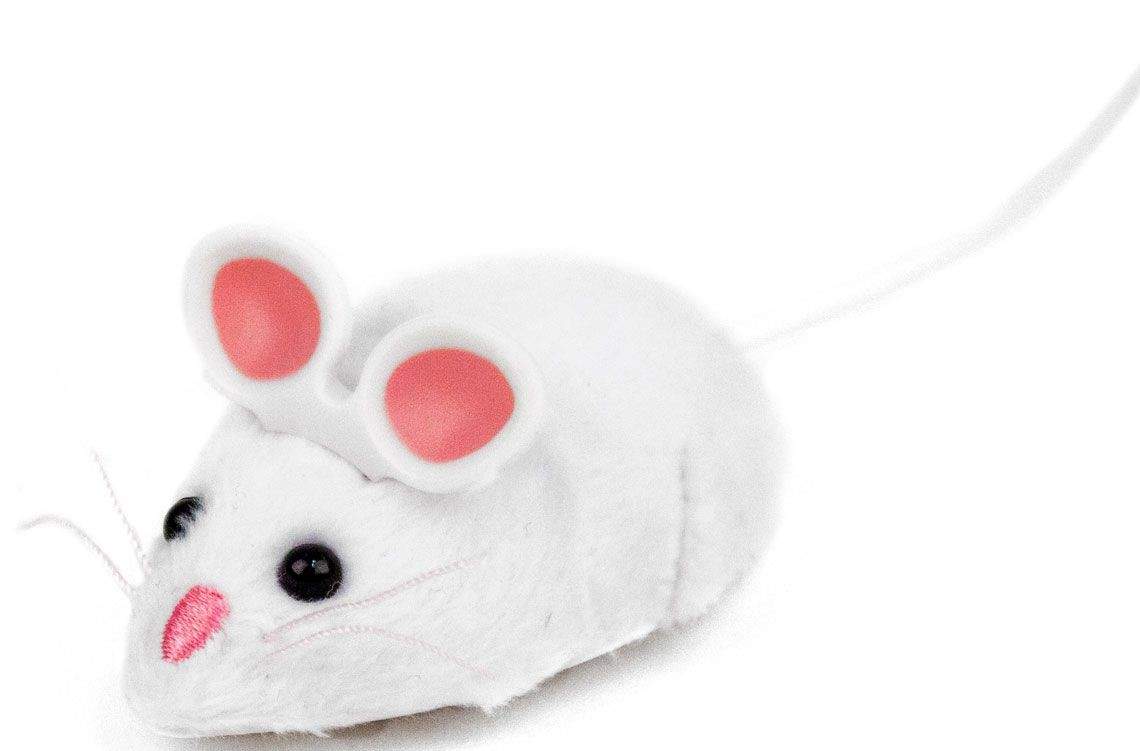 Игрушка для кошек Hexbug Mouse Cat Toy, микроробот, белый, 6,2 см