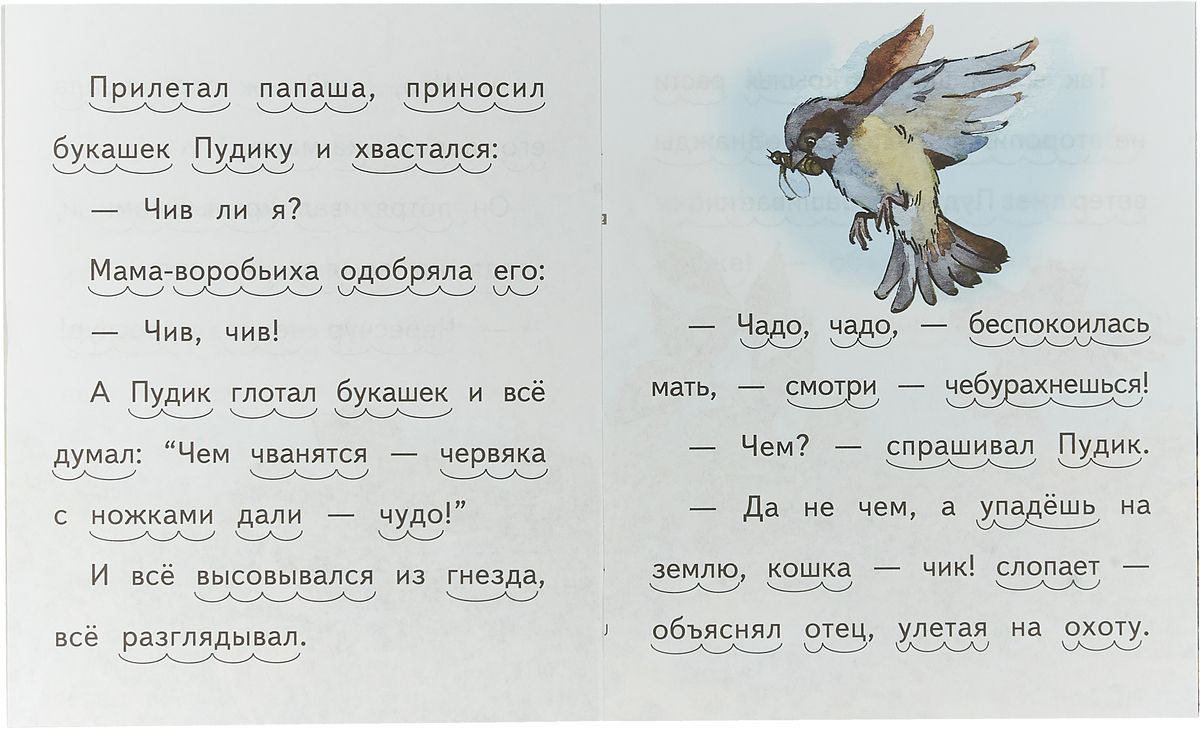 Прочитайте какое слово лишнее медвежата воробьишки