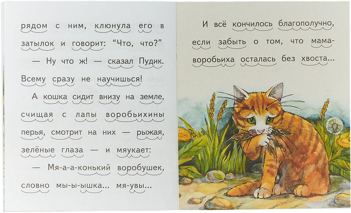 Произведение м горького воробьишко. 3. «Воробьишко» м. Горький. Воробьишко Горький книга. Сказка Максима Горького Воробьишко текст.