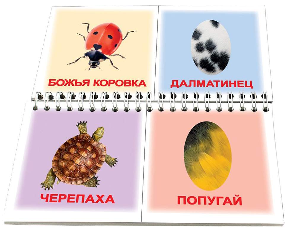 Вундеркинд с пеленок. Вундеркинд с пеленок по методике Глена Домана на липучках. Вундеркинд с пеленок насекомые. Вундеркинд с пеленок природа.