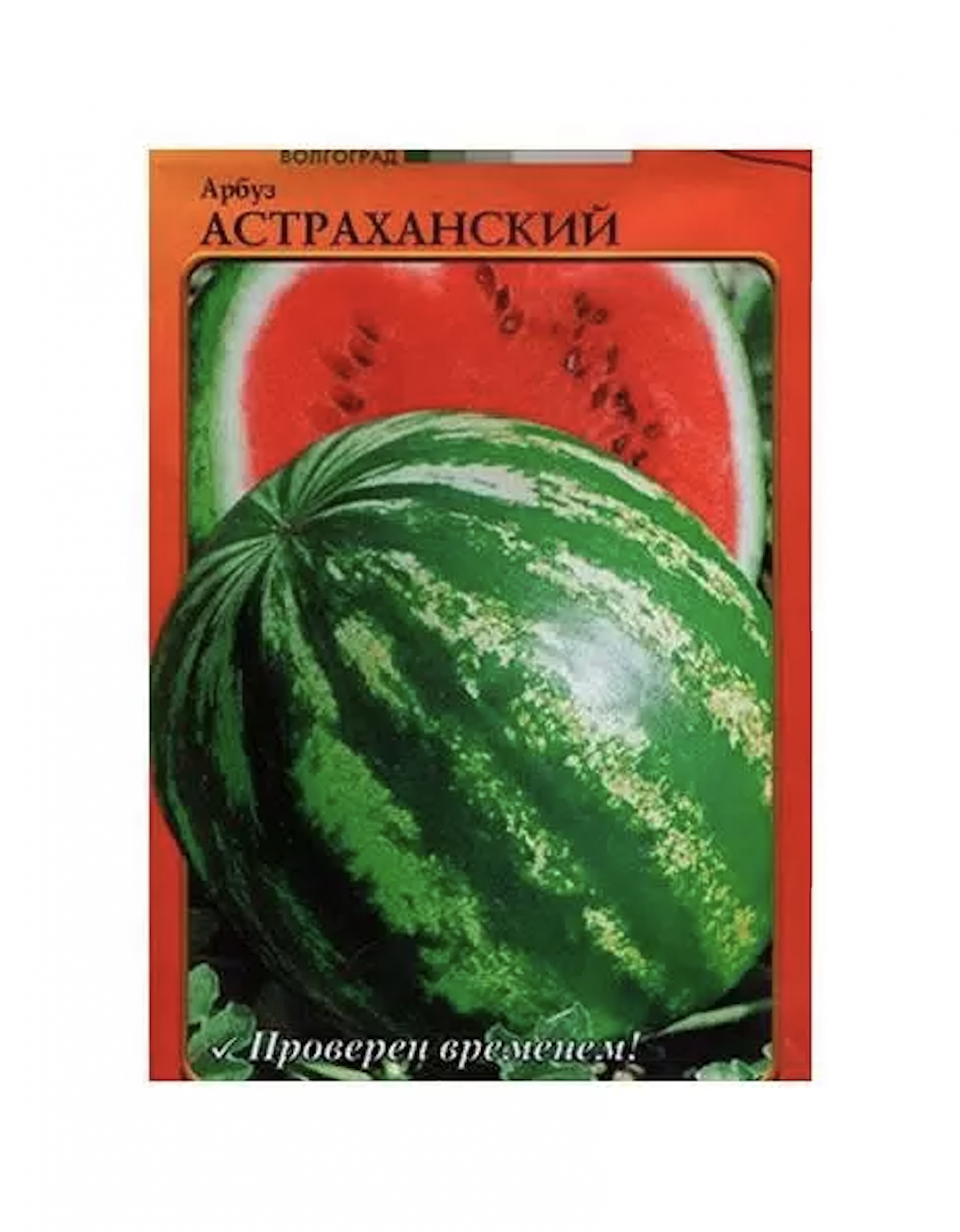 Арбуз сюрприз. Арбуз астраханский семена. Арбуз астраханский отзывы. Арбуз астраханский описание. Вырастить астраханский арбуз.
