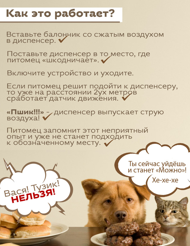 Как отучить котенка ходить по столу