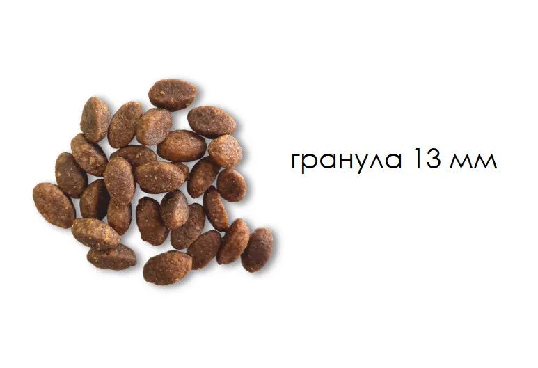 Secret корм для кошек. Secret корм. Корм секрет для собак. Секрет корм с ягненком. Корм секрет для кошек.