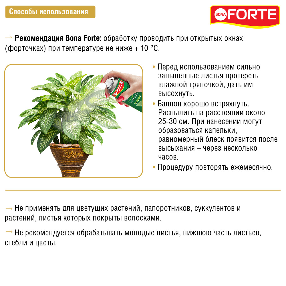 Чем протирать листья для блеска комнатных. Блеск для листьев комнатных растений. блеск для листьев комнатных растений бона форте. спрей для листьев комнатных растений для блеска. протирание листьев комнатных растений.