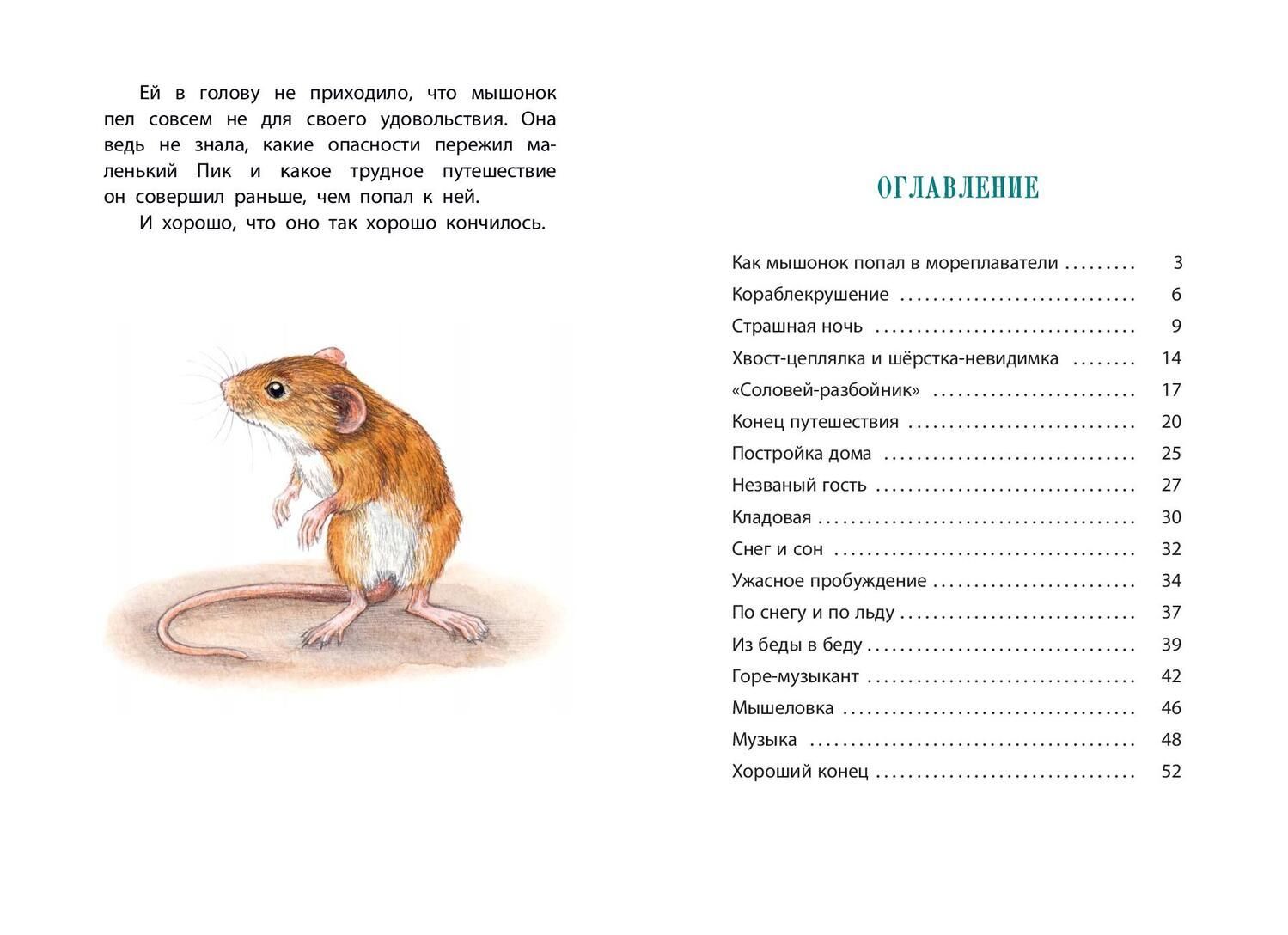 Мышонок пик краткое содержание для читательского
