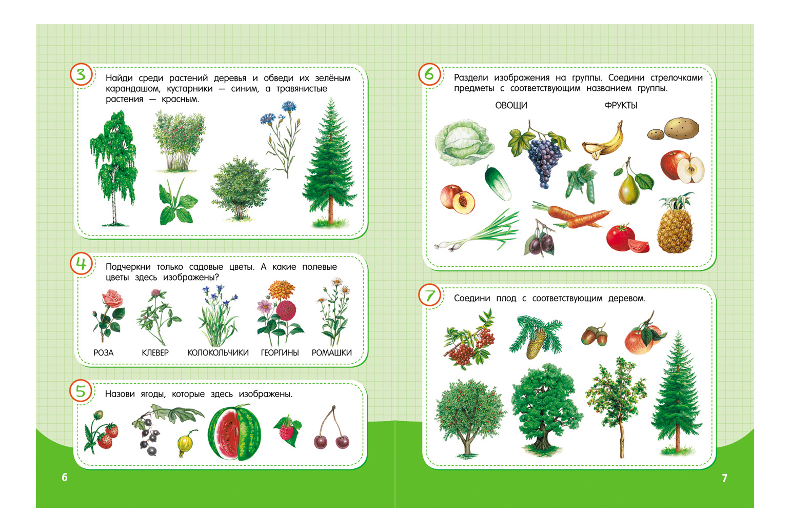 Окружающий мир 7. Растения задания для детей. Окружающий мир задания для дошкольников. Окружающий мир для дошкольников. Растения задания для дошкольников.