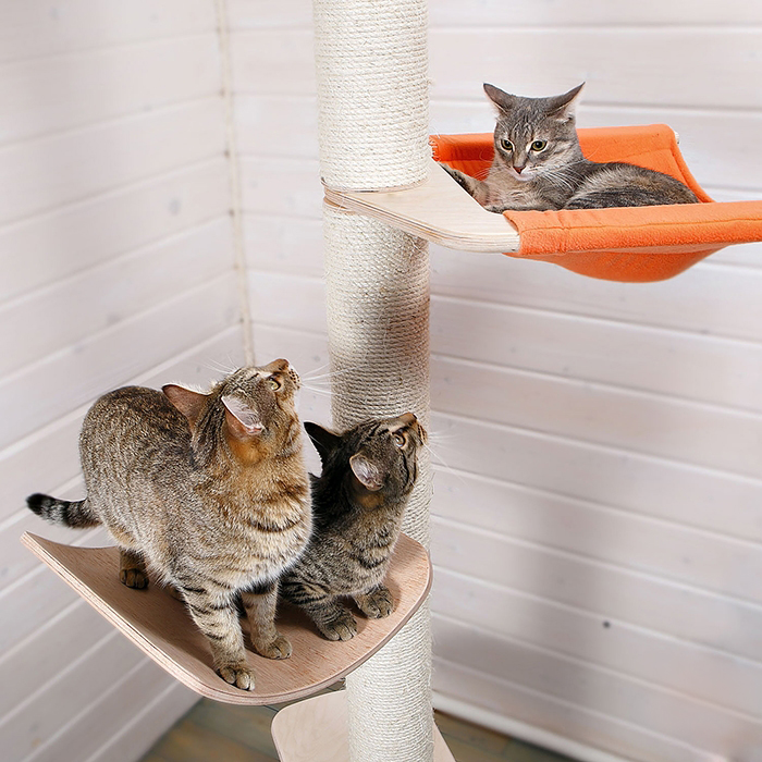 напольный гамак для кошек. кото дерево. вкладыш котодерево. кото древесина. кошка в дупле.