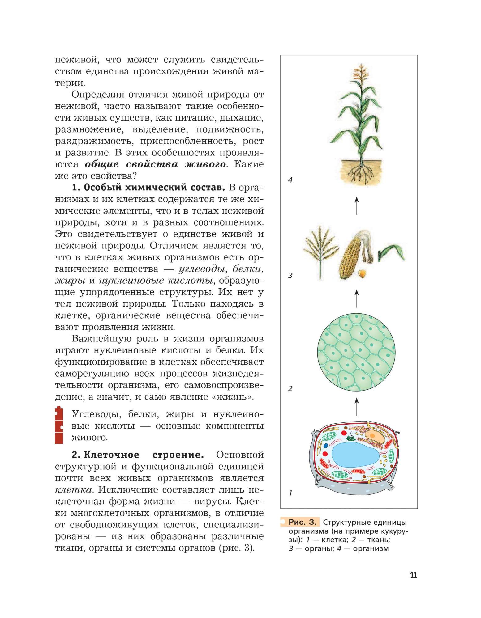 Учебник Пономарева. Биология. 9 кл. ФГОС - купить учебника 9 класс в  интернет-магазинах, цены на Мегамаркет |