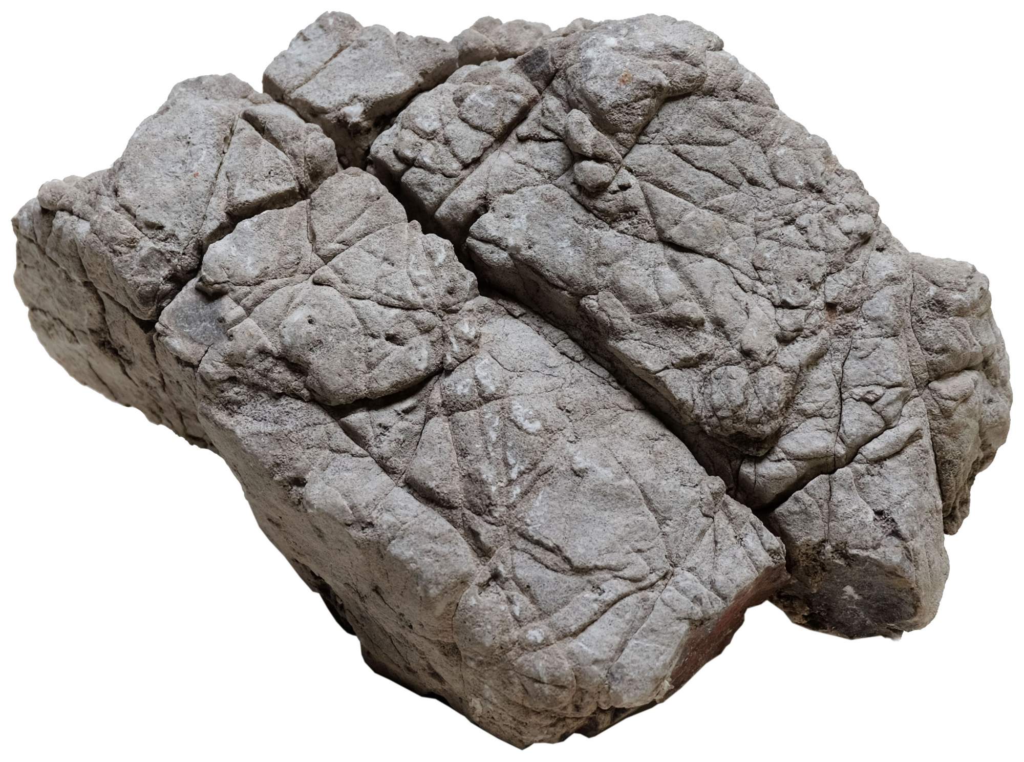 Камень для аквариума и террариума UDeco Elephant Stone M, натуральный 15-25 см