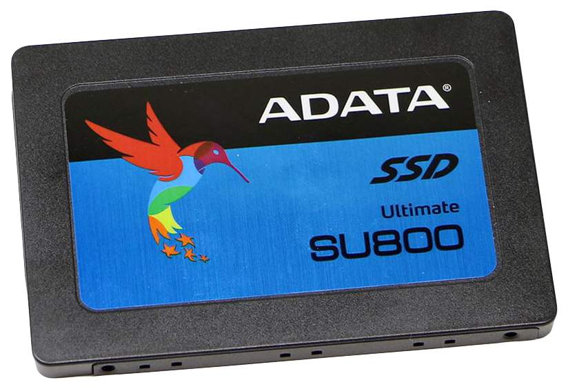 Adata su800 on sale