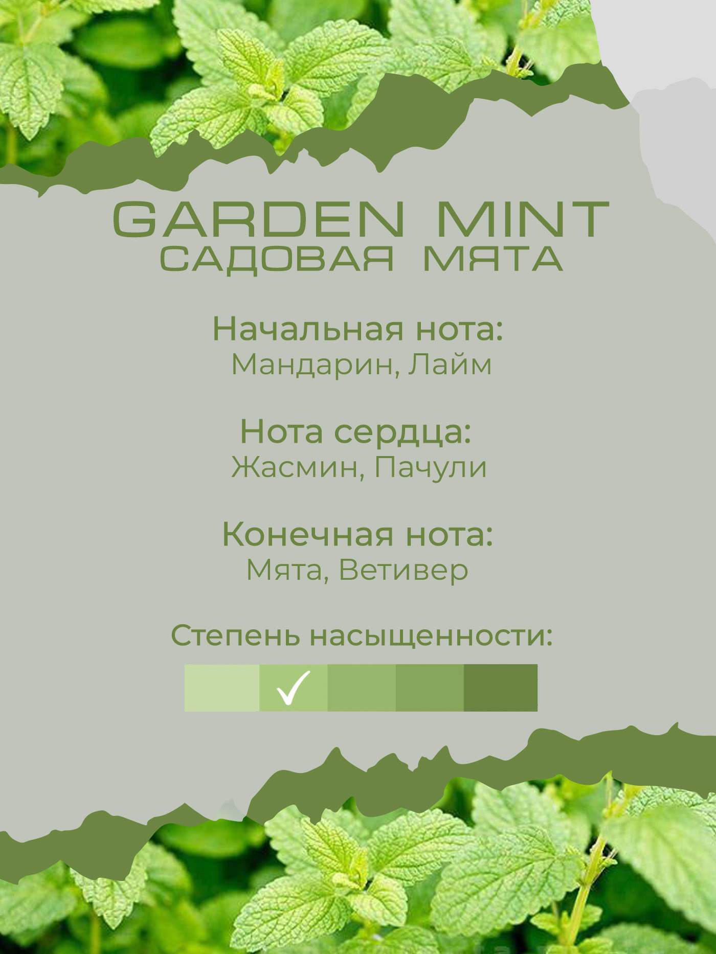 Наполнитель для ароматического диффузора By Kaori аромат GARDEN MINT 100 мл  купить в интернет-магазине, цены на Мегамаркет