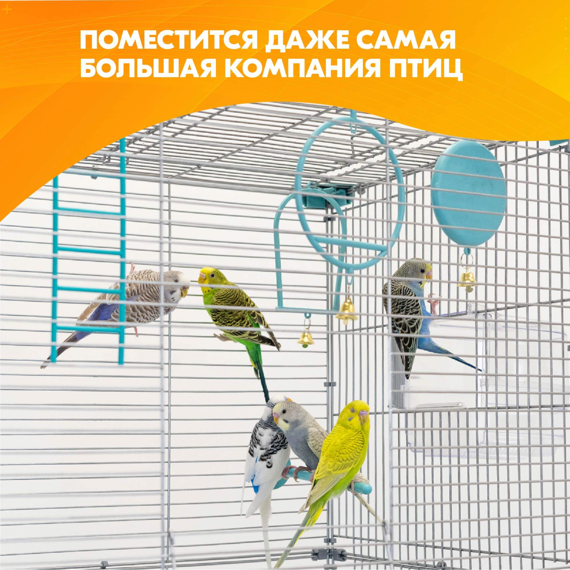 Клетка для птиц PetTails ЛОФТ-1, 58х40х48 см, бирюзовая – купить в Москве,  цены в интернет-магазинах на Мегамаркет