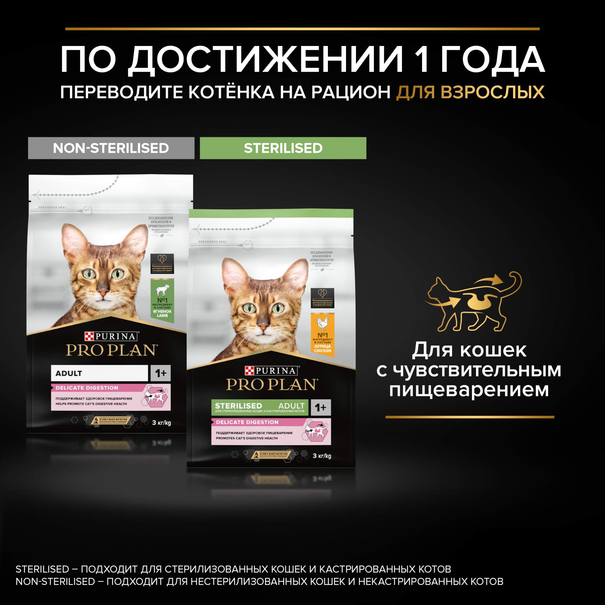 Купить Корм Pro Plan Для Котят