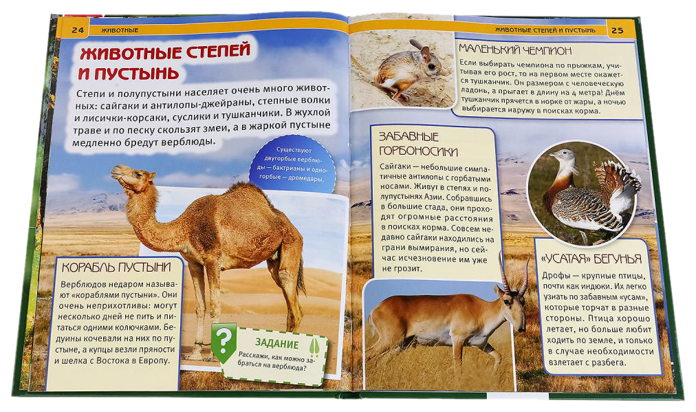 энциклопедия. энциклопедия умка. энциклопедия с развивающими заданиями. энциклопедия с развивающими заданиями питомцы. энциклопедия умка транспорт.