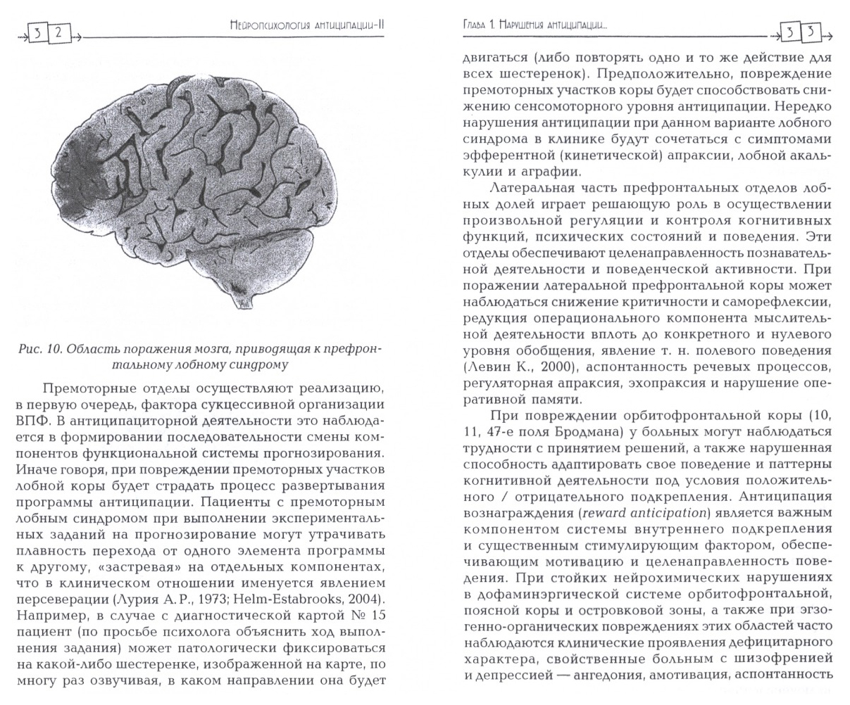 Нейропсихология в таблицах и схемах