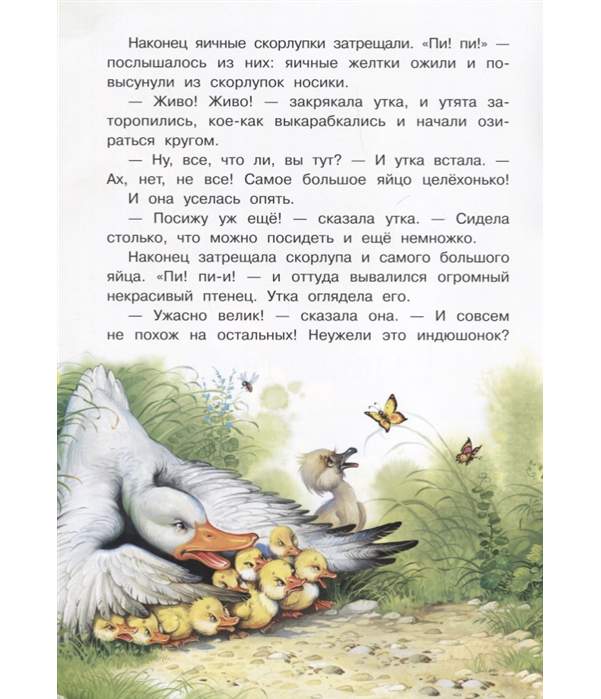 Гадкий утёнок сказка Андерсена иллюстрации из книг. Текст сказки гадкий утенок