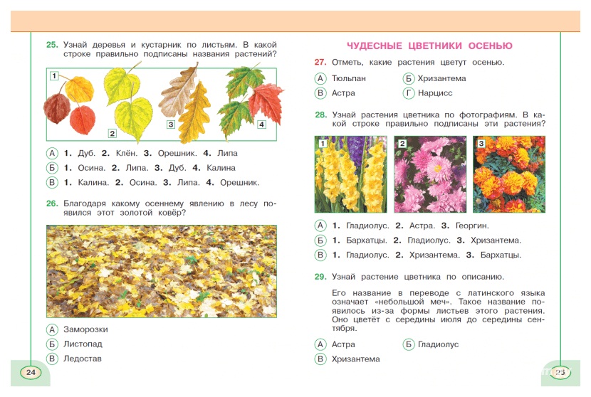 Тест растения 2. Тесты окружающий мир 3 класс перспектива Плешаков Новицкая. Окружающий мир Плешаков Новицкая 1 класс тесты. Окружающий мир тесты 2 класс Плешаков Новицкая перспектива осень. Осень 2 класс перспектива окружающий мир.