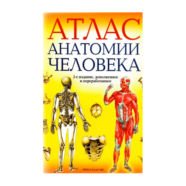 Атлас Анатомии Человека, 2-е Издание, Дополненное и переработанное