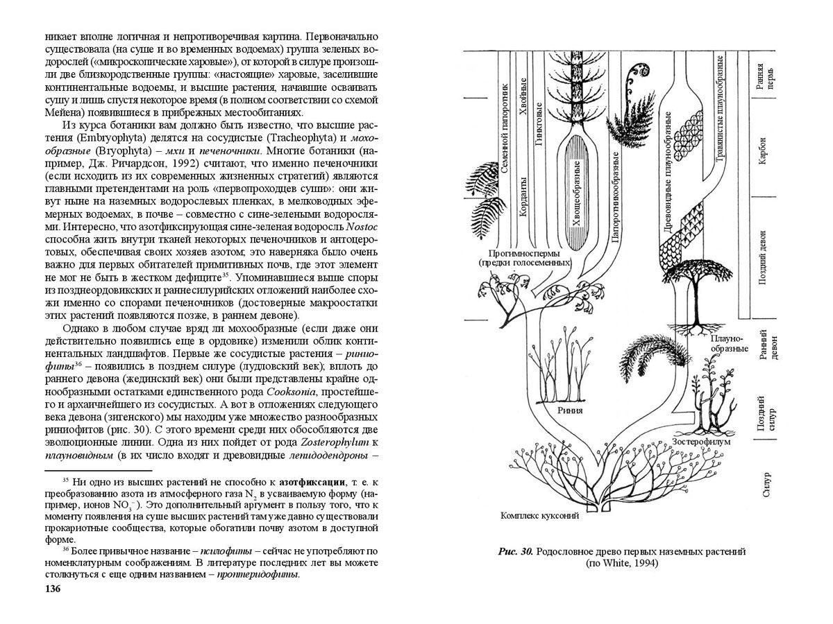 Палеонтология в картинках книга