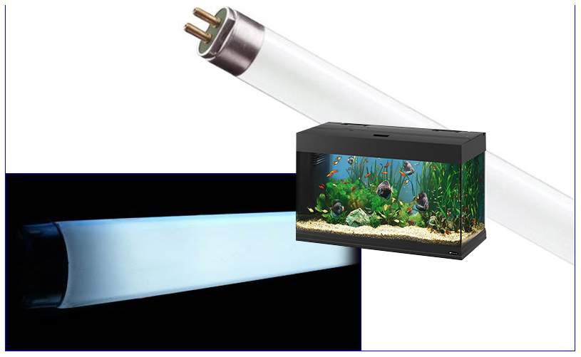 Люминесцентная лампа для аквариума JBL Solar Ultra Ocean Blue, 24 Вт, цоколь G5, 55 см