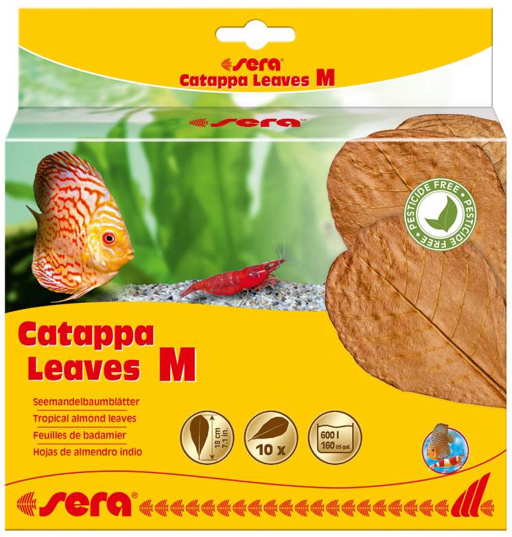 Листья индийского миндаля Catappa Leaves M для аквариума, 18 см (10 шт)