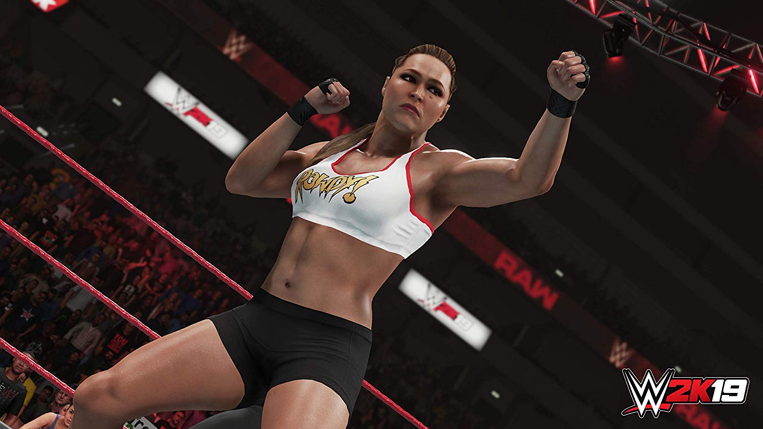 Игра WWE 2K19 для PlayStation 4 – купить в Москве, цены в  интернет-магазинах на Мегамаркет