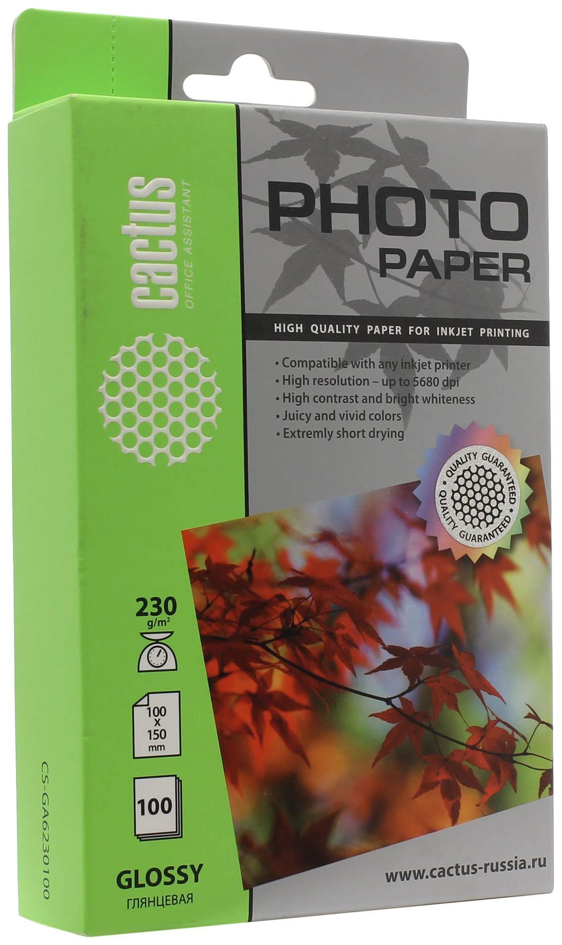 Фотобумага для принтера Cactus CS-GA6230100 Standart Белый 100 листов