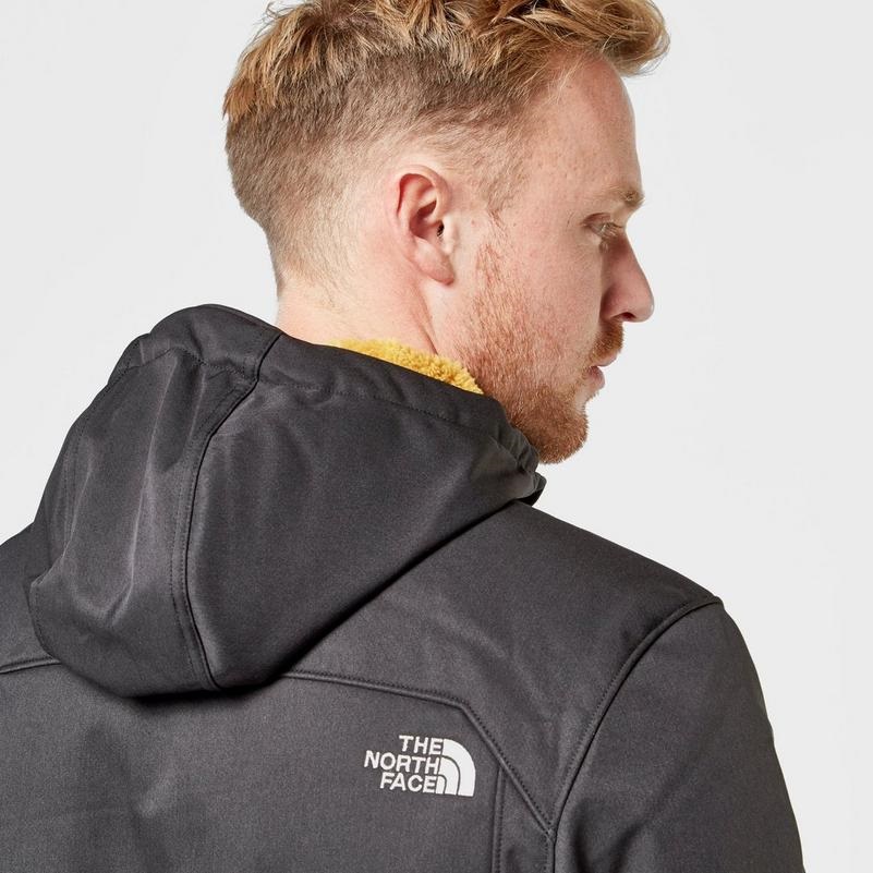 The north face 2024 softshell hoodie