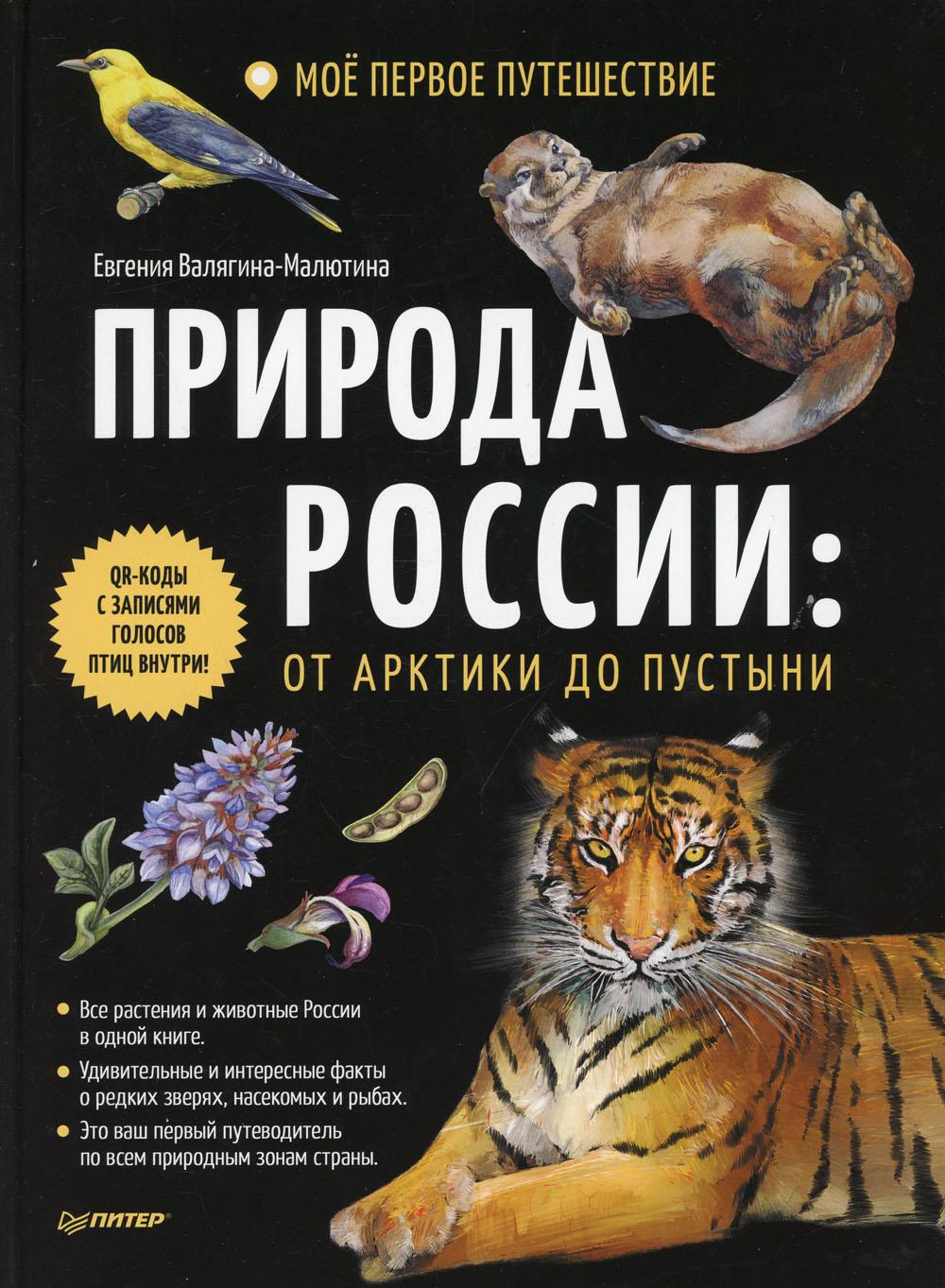 Природа России: от Арктики до пустыни. Мое первое путешествие - купить в ИП  Зинин, цена на Мегамаркет