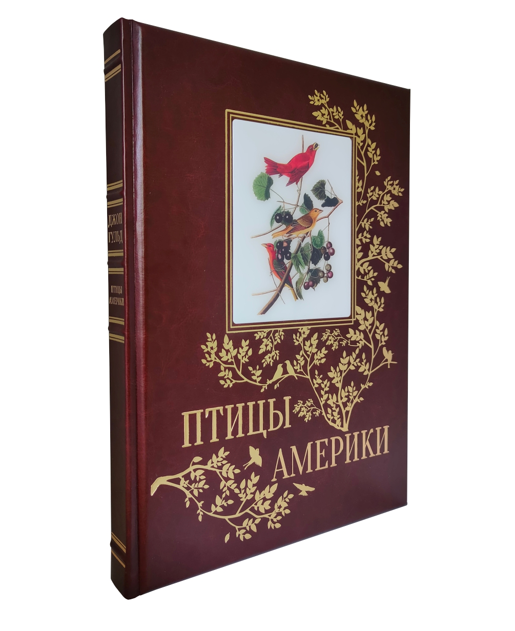 Книга птицы америки. Подарочная книга птицы Европы, Америки, Азии купить.