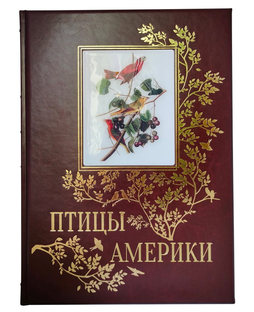 Книга птицы америки