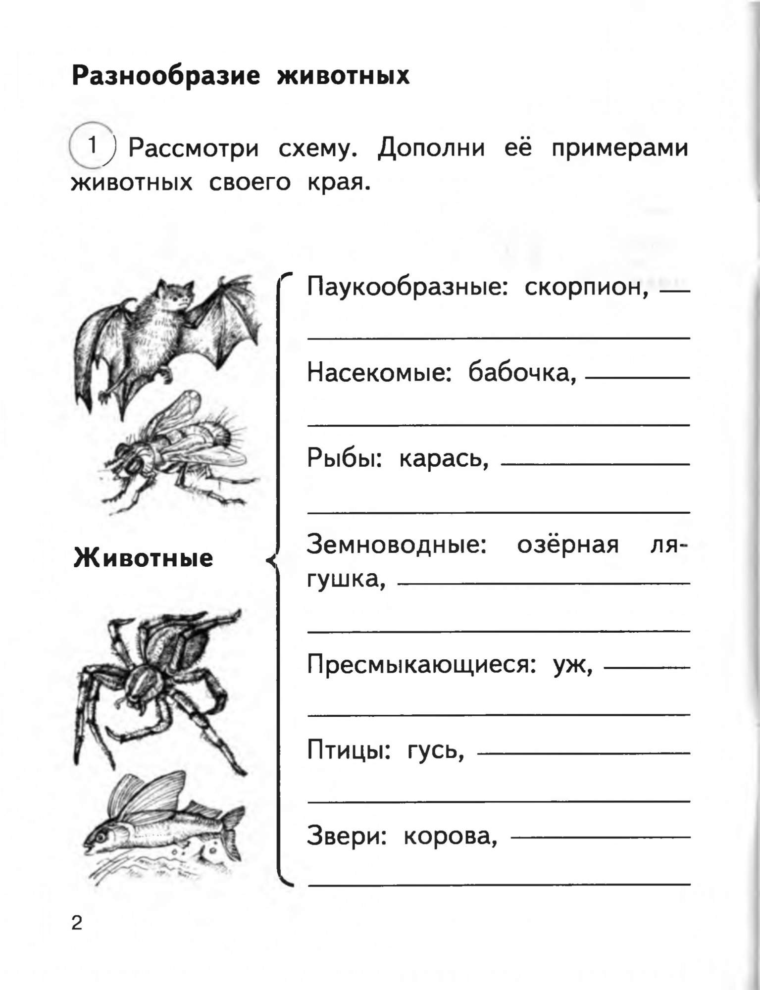 Рабочая тетрадь Окружающий мир 2 класс часть 2 в 2 частях Федотова Н.А.  ФГОС – купить в Москве, цены в интернет-магазинах на Мегамаркет