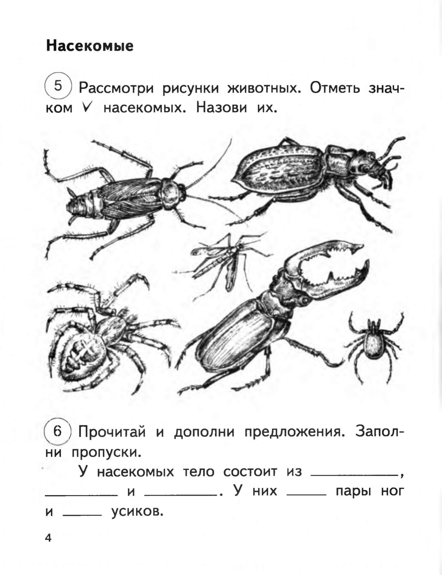 Рабочая тетрадь Окружающий мир 2 класс часть 2 в 2 частях Федотова Н.А.  ФГОС – купить в Москве, цены в интернет-магазинах на Мегамаркет