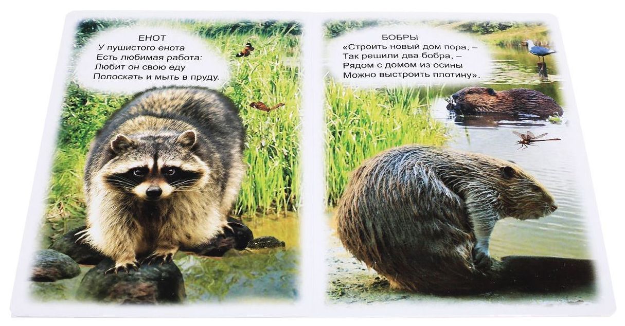 Детские стихи про животных. Стихи о животных читать. Стихи о животных для малышей. Стихотворение о лесных животных. Стишки про животных.