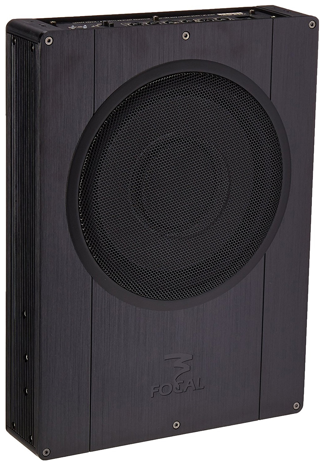 Focal ibus 2024