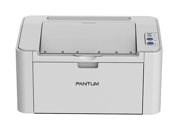 Лазерный принтер Pantum P2200, купить в Москве, цены в интернет-магазинах на Мегамаркет