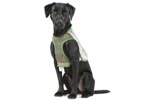 Жилетка для собак SCRUFFS Insect Shield Dog Vest с пропиткой от блох и клещей 27 см