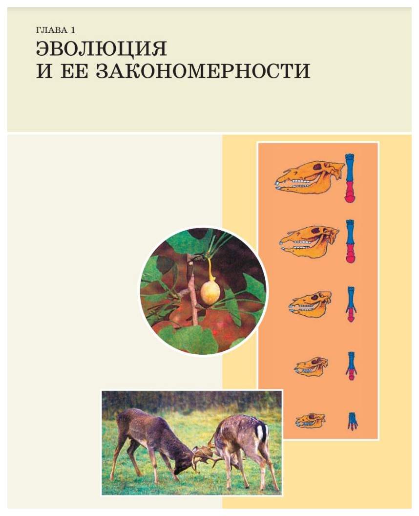 Работы по биологии 11 классе. Петросова 11 класс биология. Дидактические материалы по общей биологии. Дидактический материал по общей биологии Петросова. Дидактический материал по биологии 11 класс.