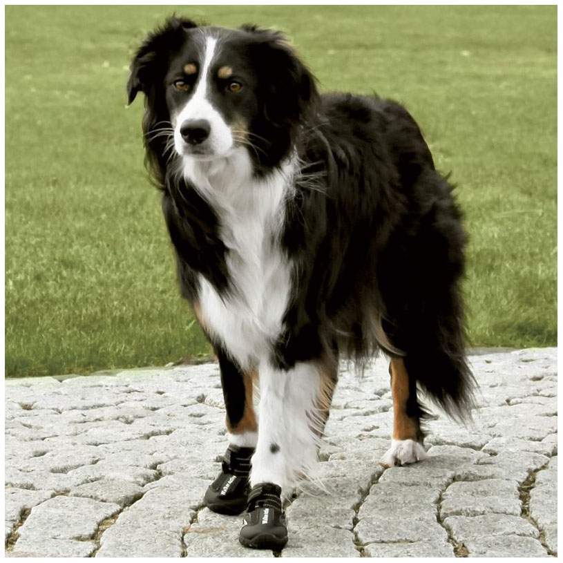 Обувь для собак TRIXIE размер L-XL, 2 шт черный