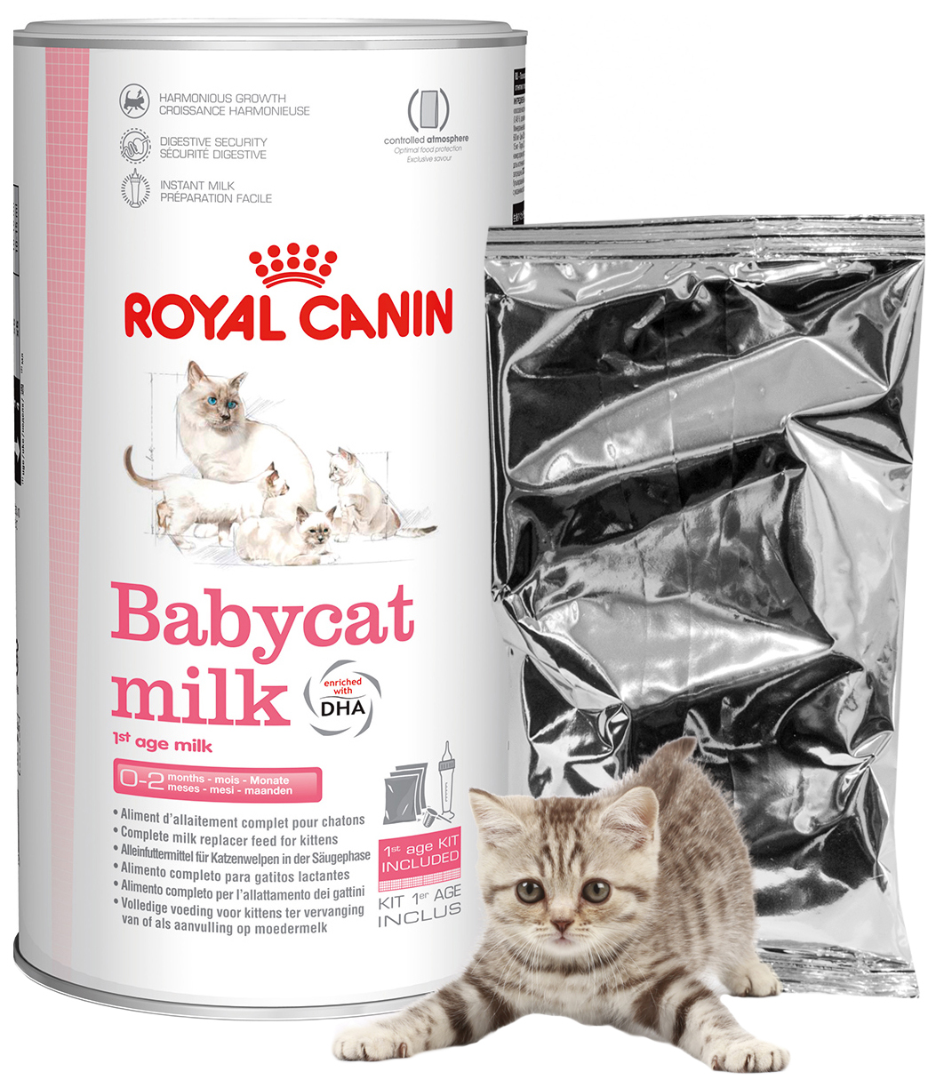 Заменитель молока для котят Royal Canin "Babycat Milk" с рождения до 2-х месяцев, 300 г