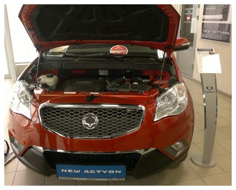 Капот саньенг актион. SSANGYONG Actyon 2011 под капотом. Капот на саньенг Актион 2. Санг енг Актион Нью под капотом. SSANGYONG Actyon, 2011 дизель капот.