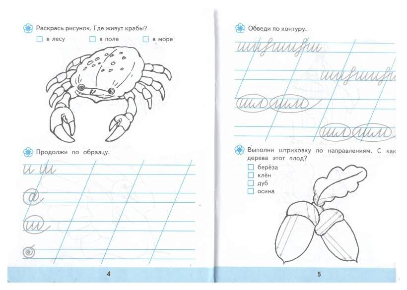 Прописи экзамен. Прописи насекомые для дошкольников. Прописи для дошкольников по ФГОС. Пишем в линейку для дошкольников.