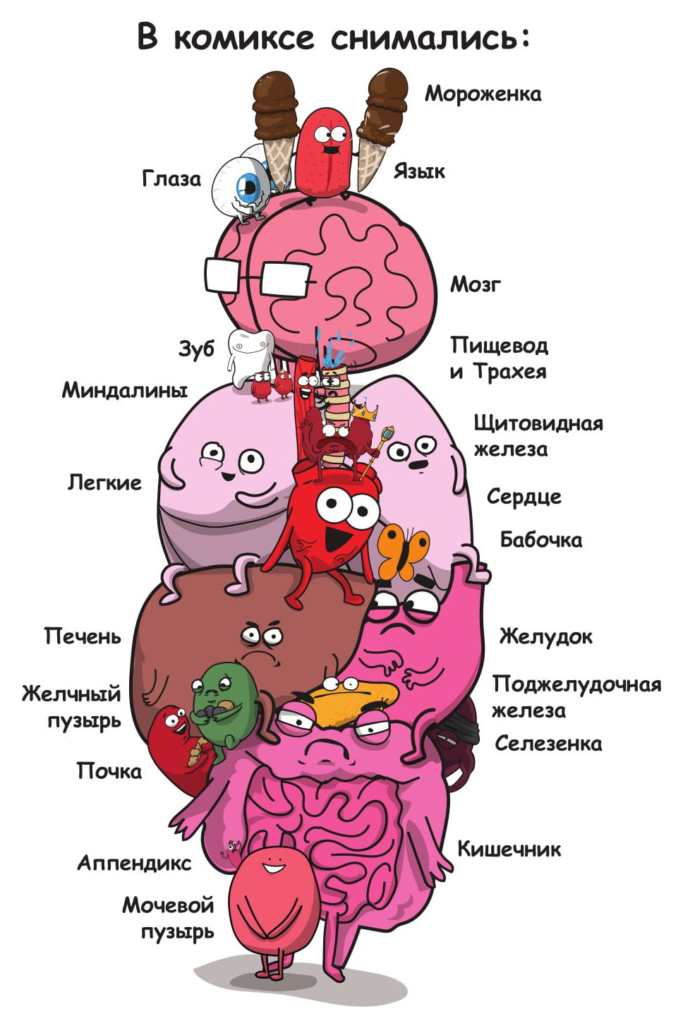 Желудочный мозг. Мозг и сердце. Книга мозг и сердце.