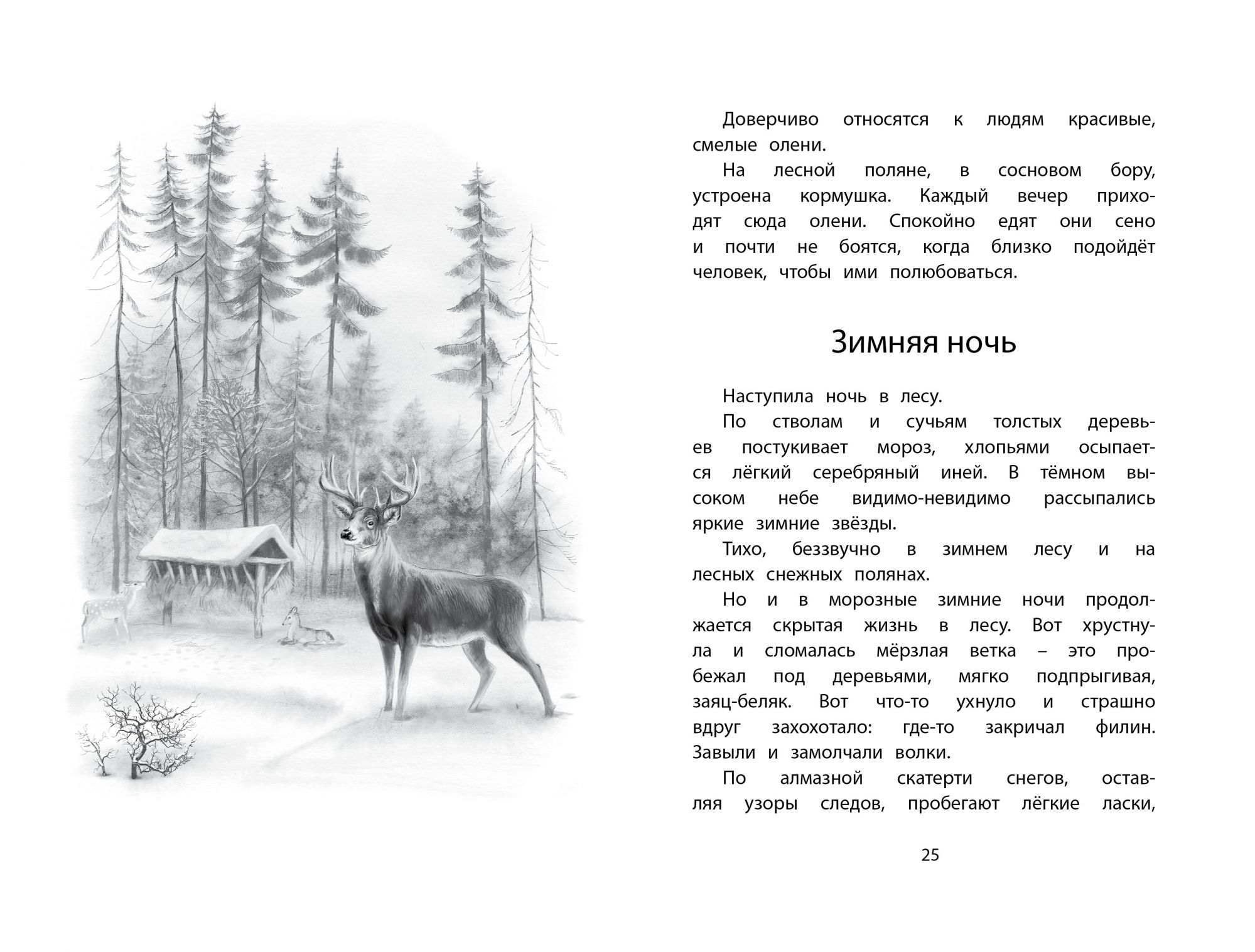 Рассказ зима в лесу. Иван Соколов-Микитов: год в лесу. Зима в лесу Иван Соколов-Микитов. Иван Сергеевич Соколов-Микитов год в лесу. Соколова-Микитова «зима в лесу»..