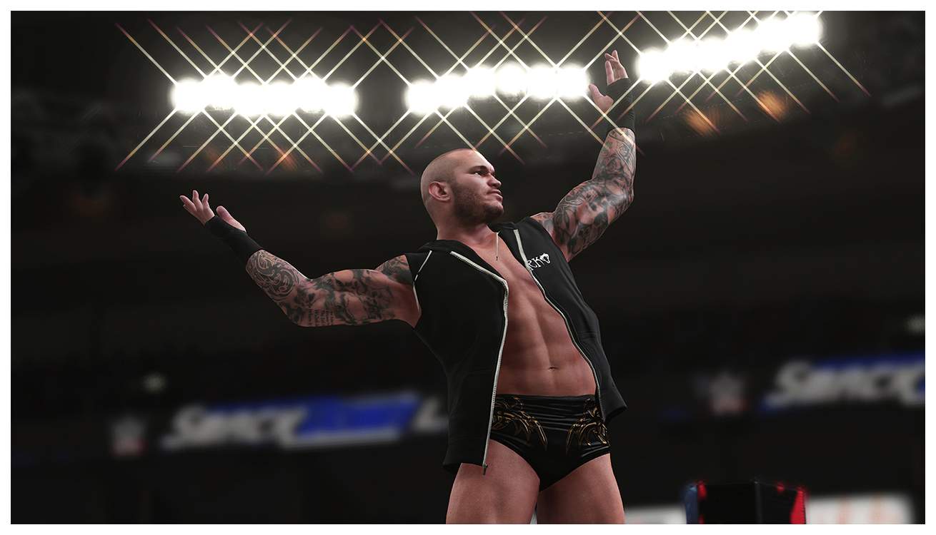 Игра 2K Sports WWE 2K18 для Sony PlayStation 4 - отзывы покупателей на  маркетплейсе Мегамаркет | Артикул: 100023475286