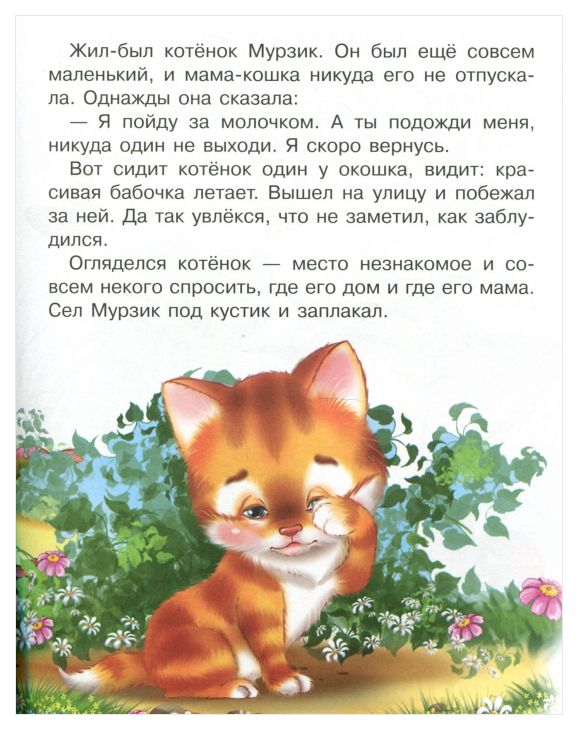 Сказка про котенка