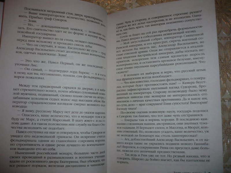 Железный порядок. Свержин Владимир Заря цвета пепла. Продолжительность зари. Кровавая Заря книга. Цвет зари время появления.