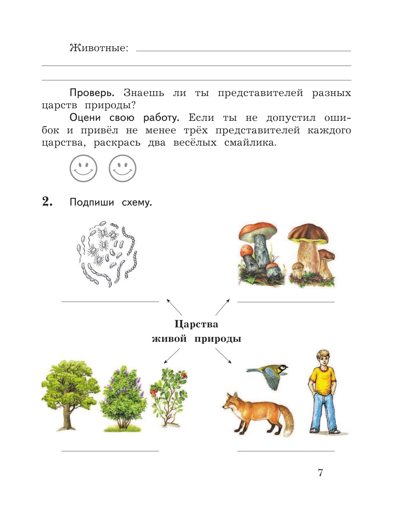 Итоговый контроль окружающий мир 2 класс. Окружающий мир 2 класс проверочные работы.