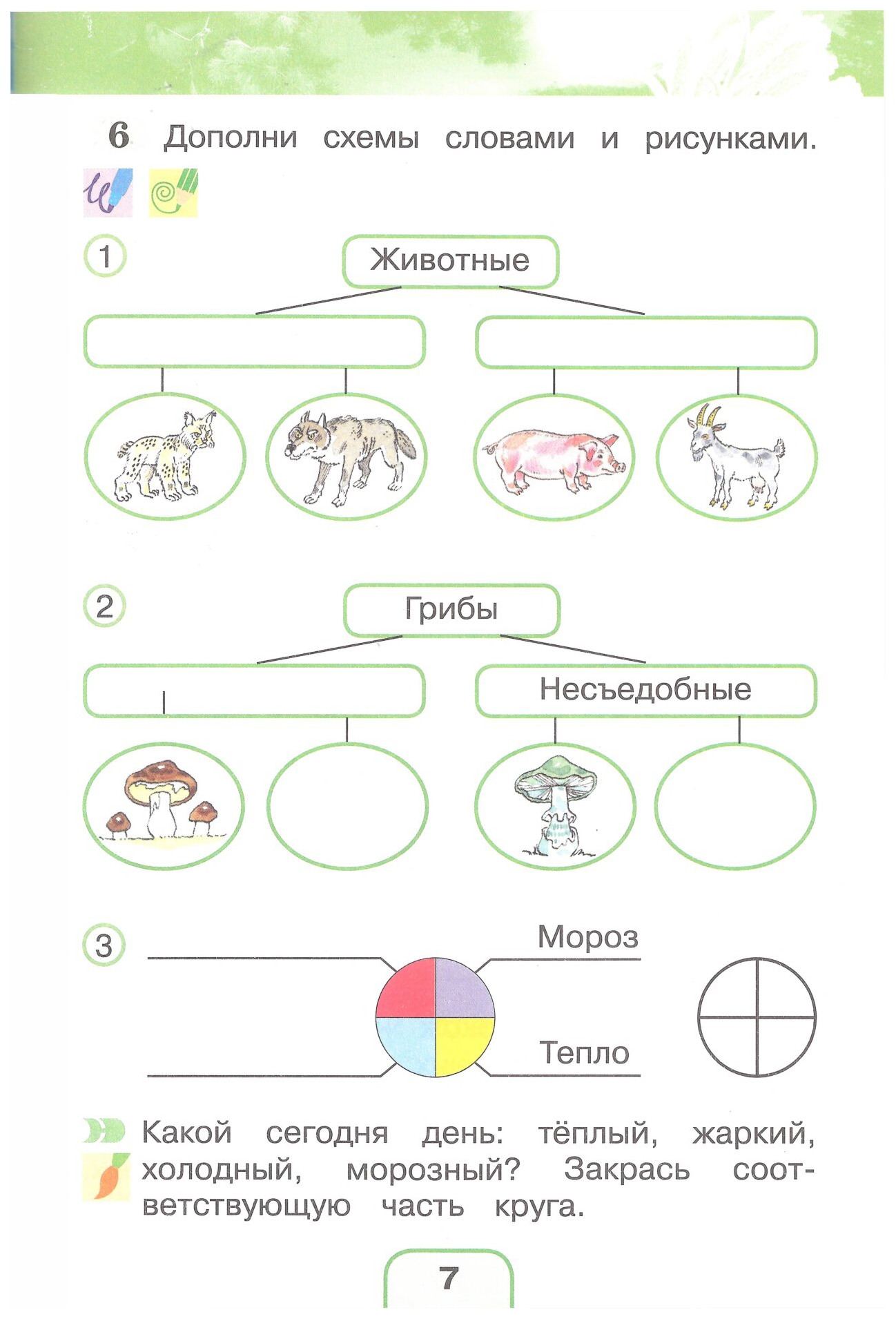 Дополни схему своими примерами