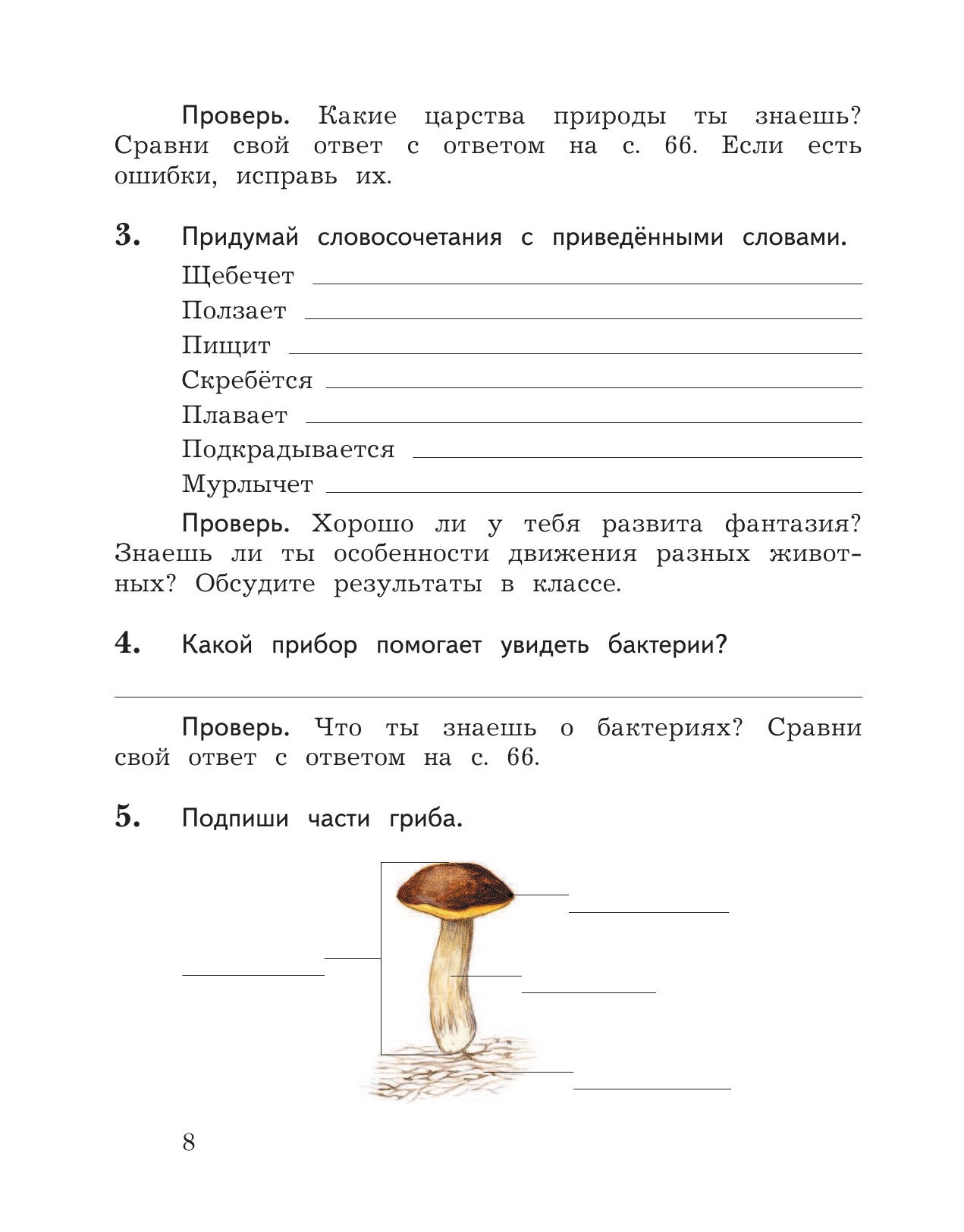 Виноградова, Окружающий Мир, 2 кл, проверяем Свои Знания и Умения, тетрадь  (Фгос) - купить рабочей тетради в интернет-магазинах, цены на Мегамаркет |